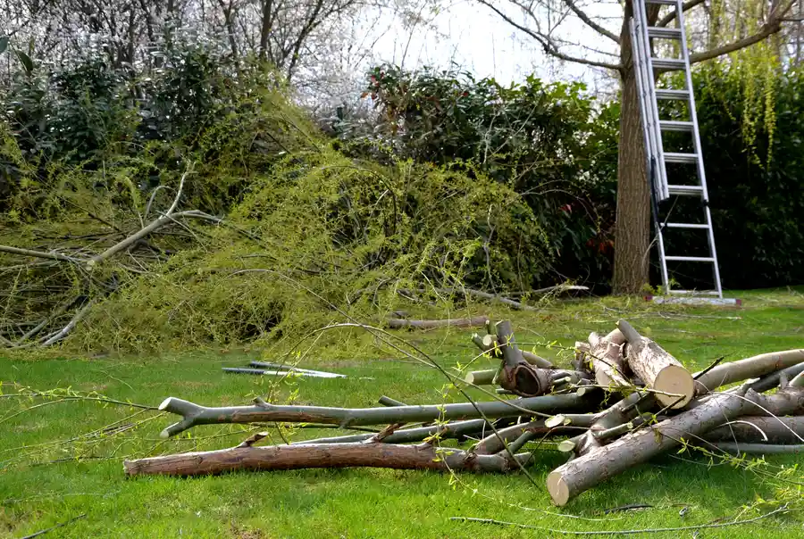 Professional Land Clearing Services Gallipolis, OH Professional Land Clearing Services Gallipolis, OH